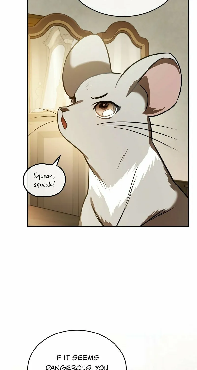 The Night Without Shadows Chapter 19 page 37 - 