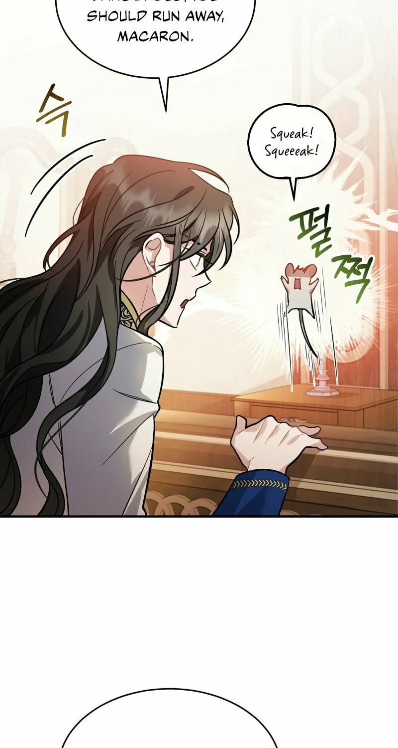 The Night Without Shadows Chapter 19 page 38 - 