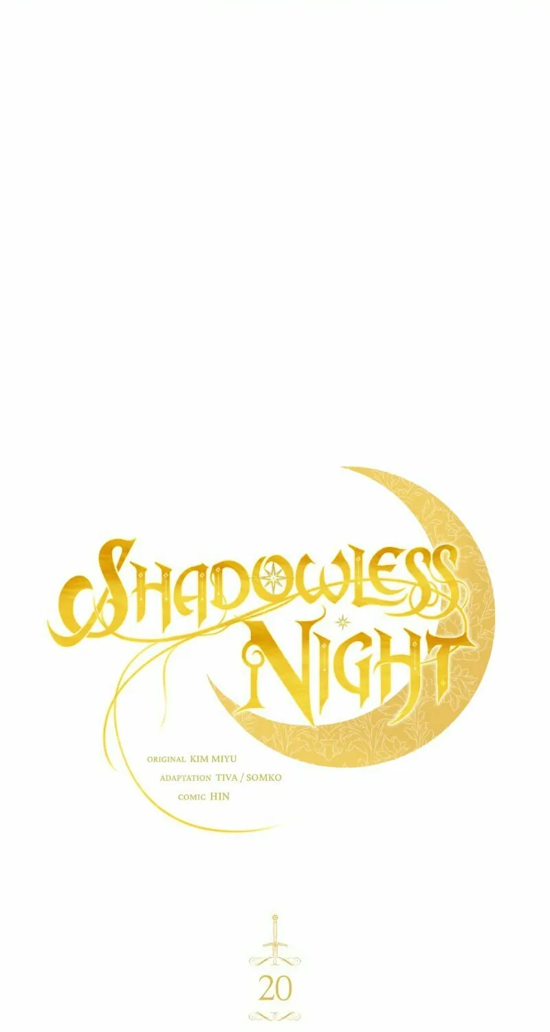 The Night Without Shadows Chapter 20 page 27 - 