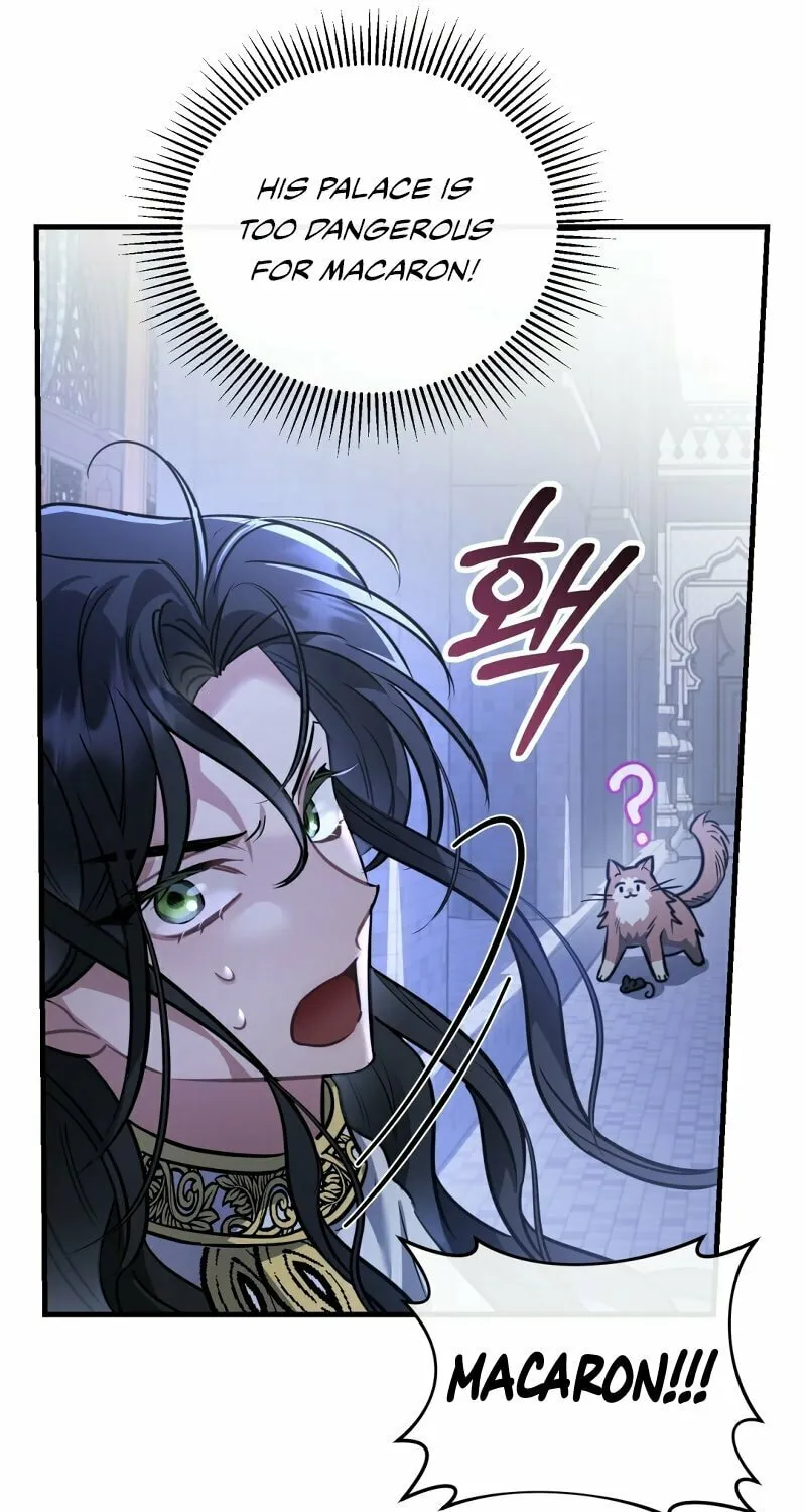 The Night Without Shadows Chapter 20 page 65 - 