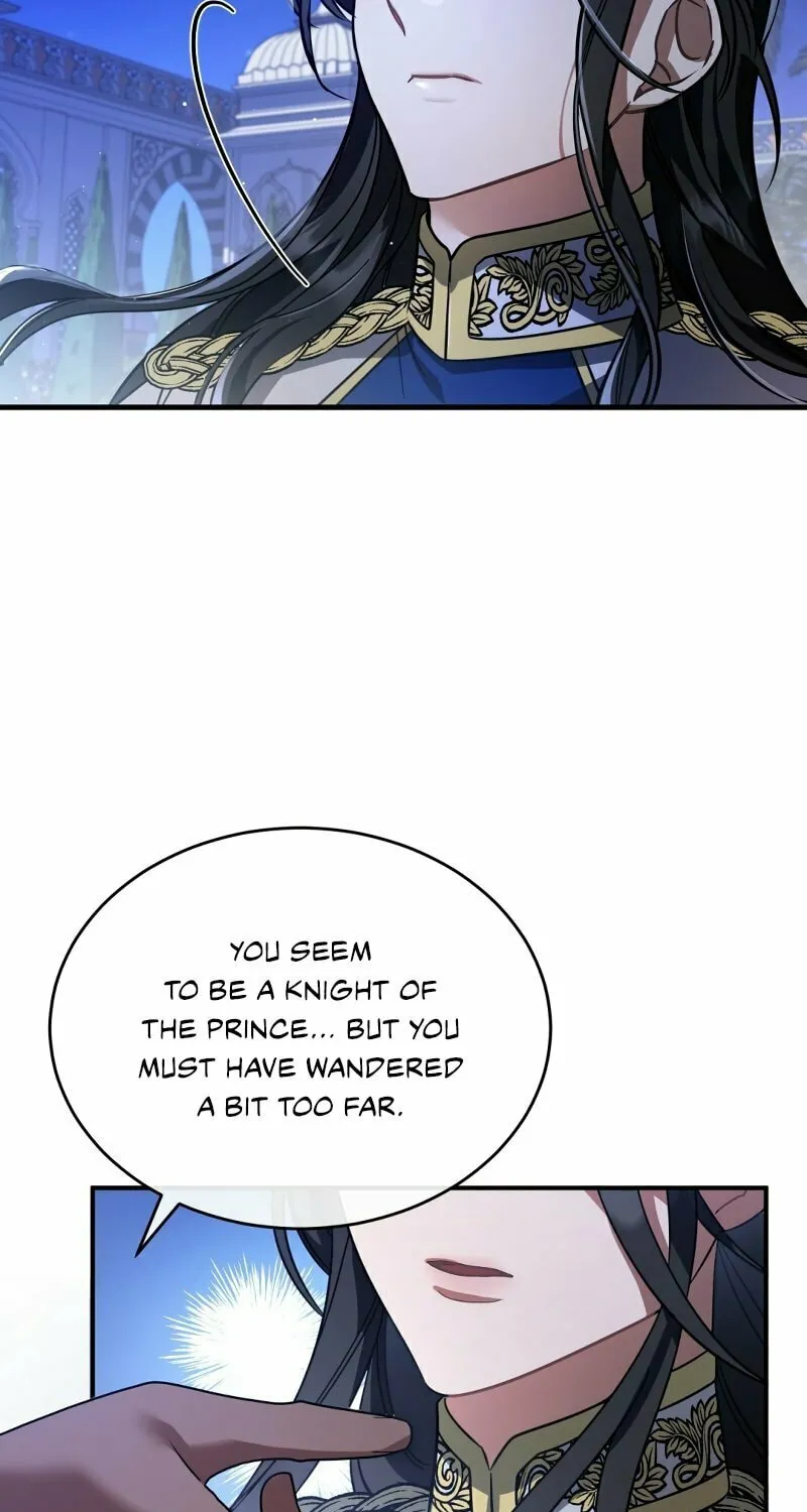 The Night Without Shadows Chapter 20 page 81 - 