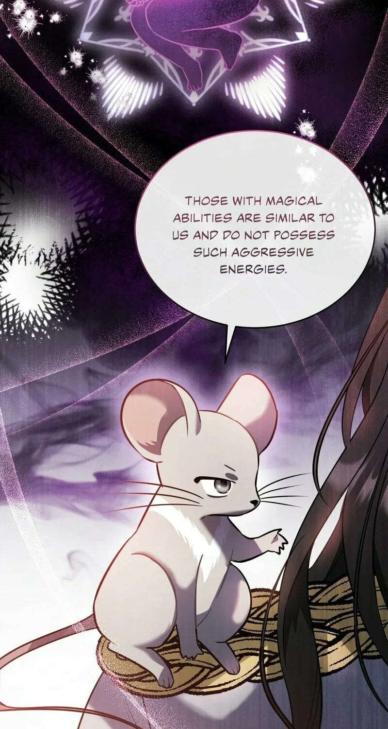 The Night Without Shadows Chapter 21 page 44 - 