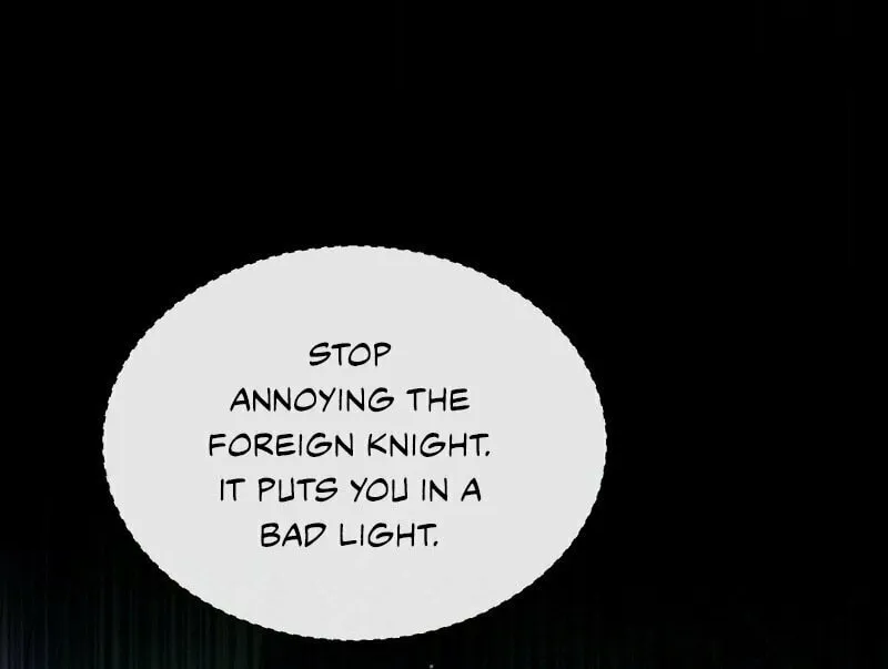 The Night Without Shadows Chapter 22 page 13 - 