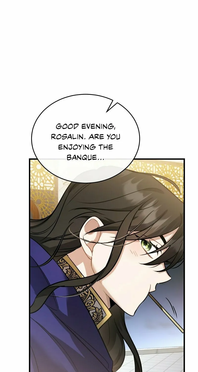 The Night Without Shadows Chapter 24 page 27 - 
