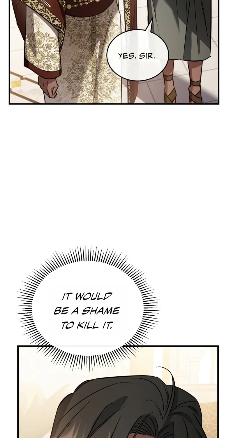 The Night Without Shadows Chapter 25 page 50 - 