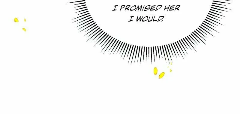 The Night Without Shadows Chapter 27 page 27 - 