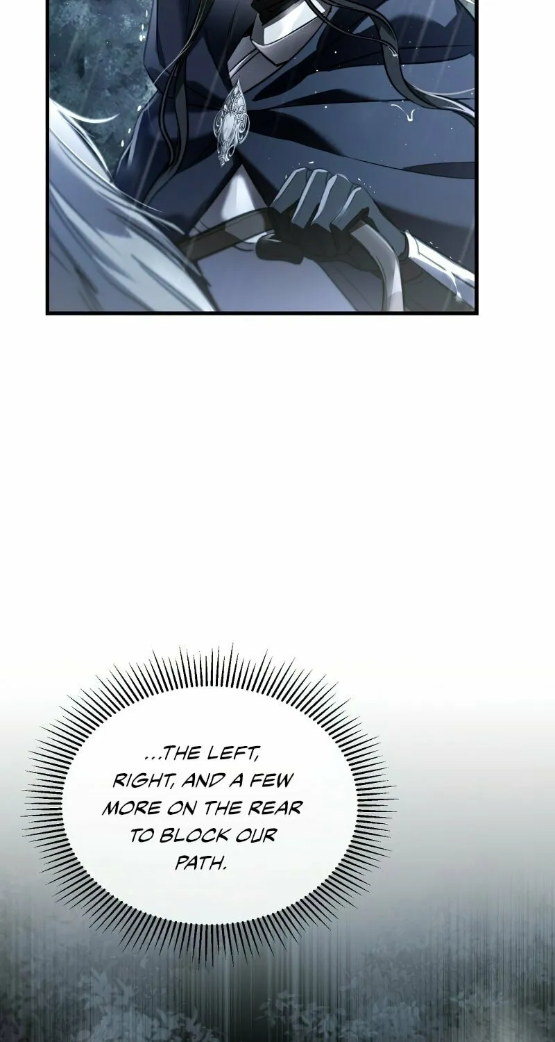 The Night Without Shadows Chapter 27 page 32 - 