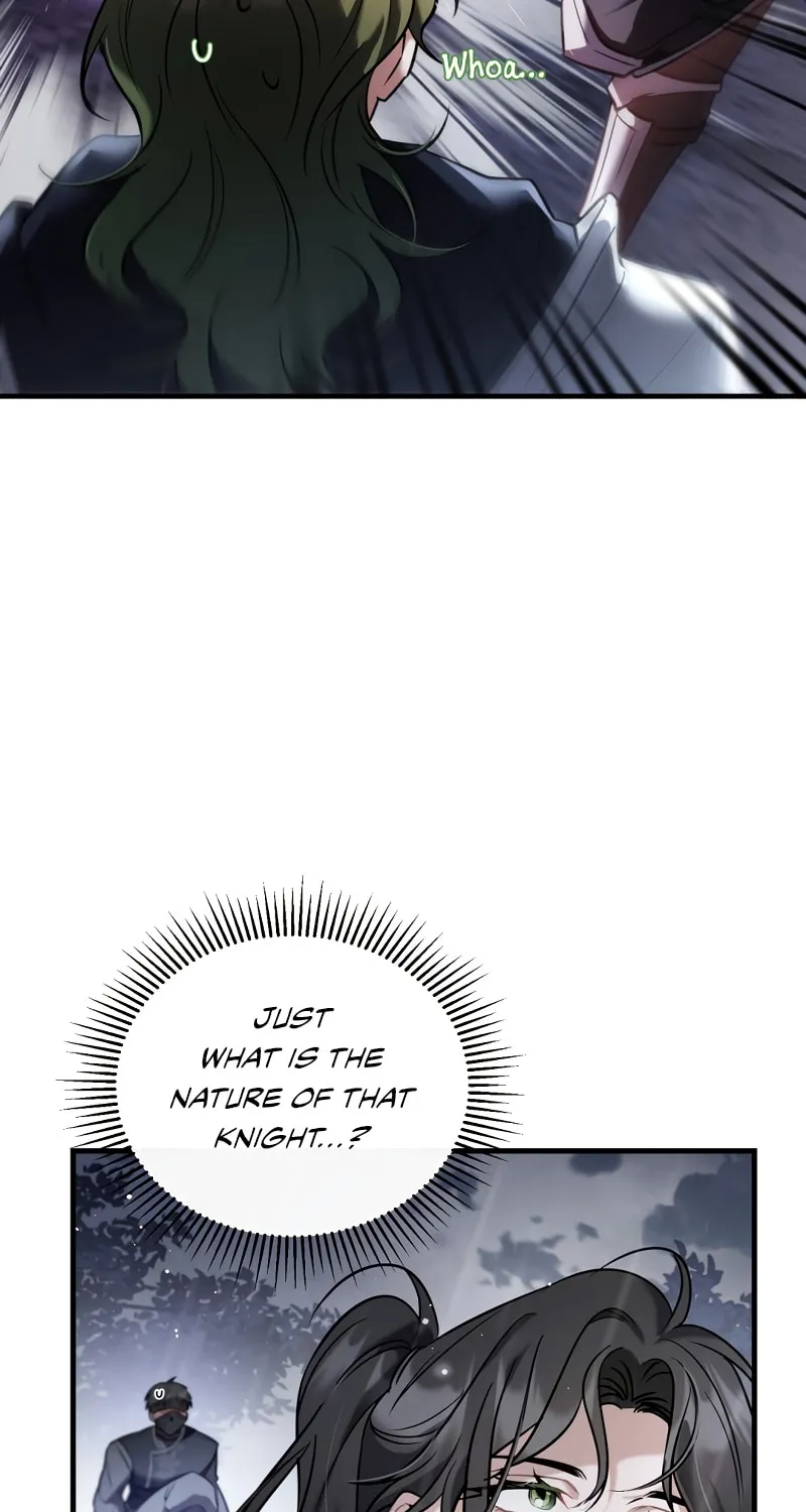 The Night Without Shadows Chapter 28 page 15 - 
