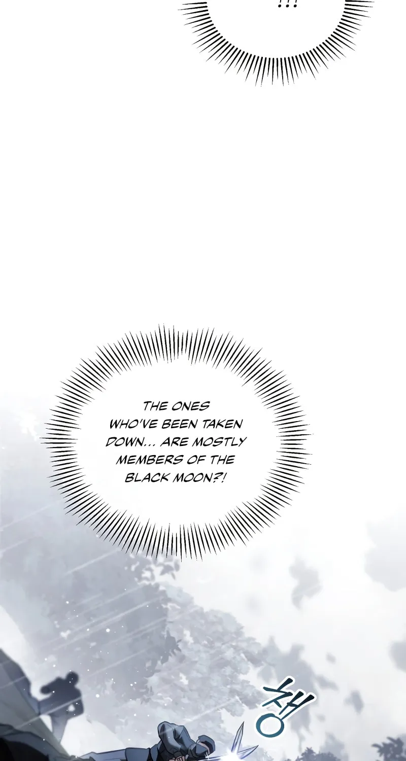 The Night Without Shadows Chapter 28 page 29 - 