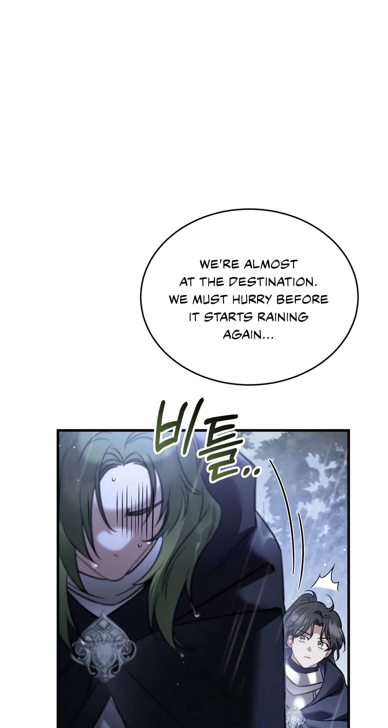 The Night Without Shadows Chapter 30 page 44 - 