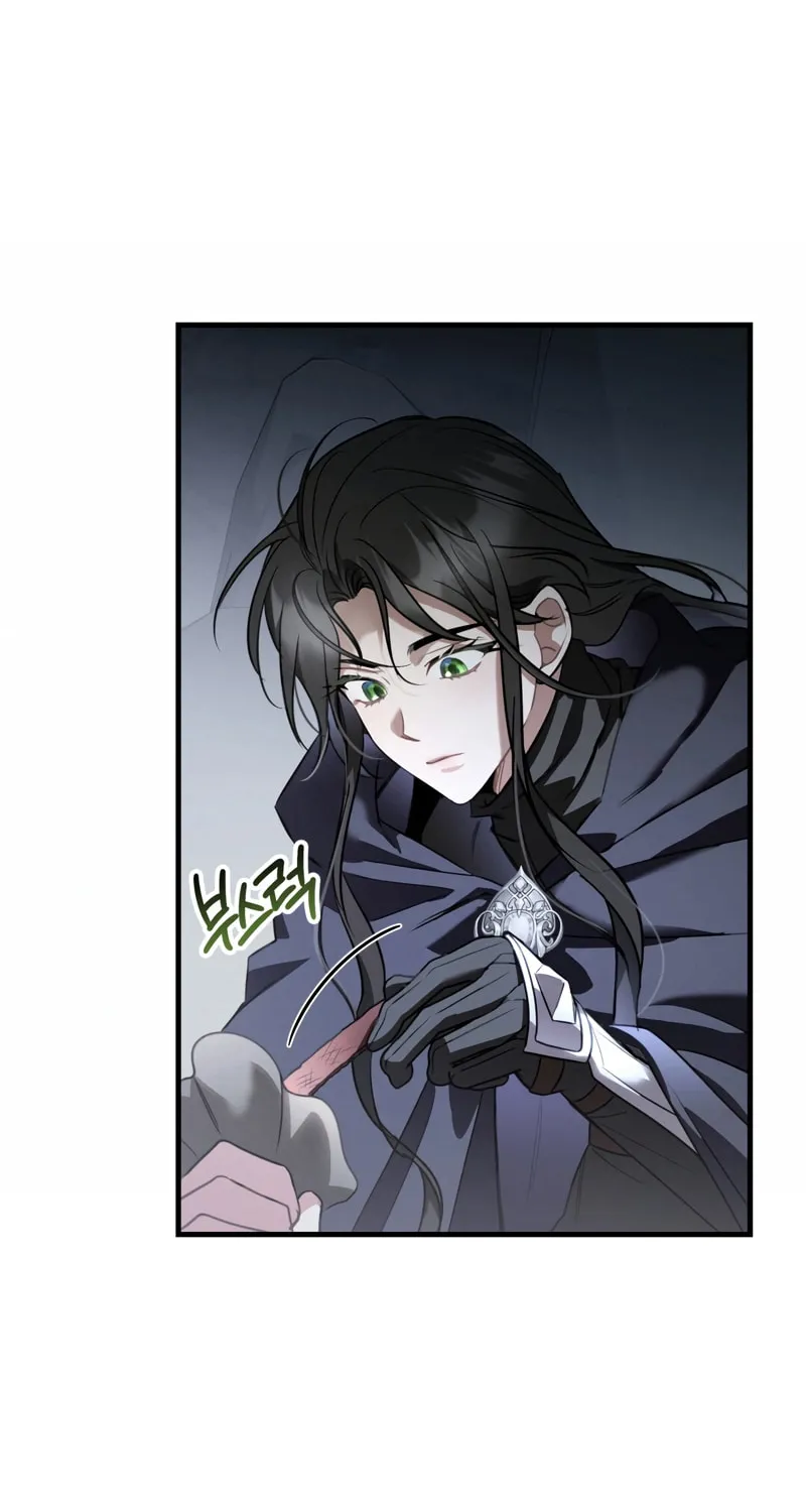 The Night Without Shadows Chapter 31 page 13 - 