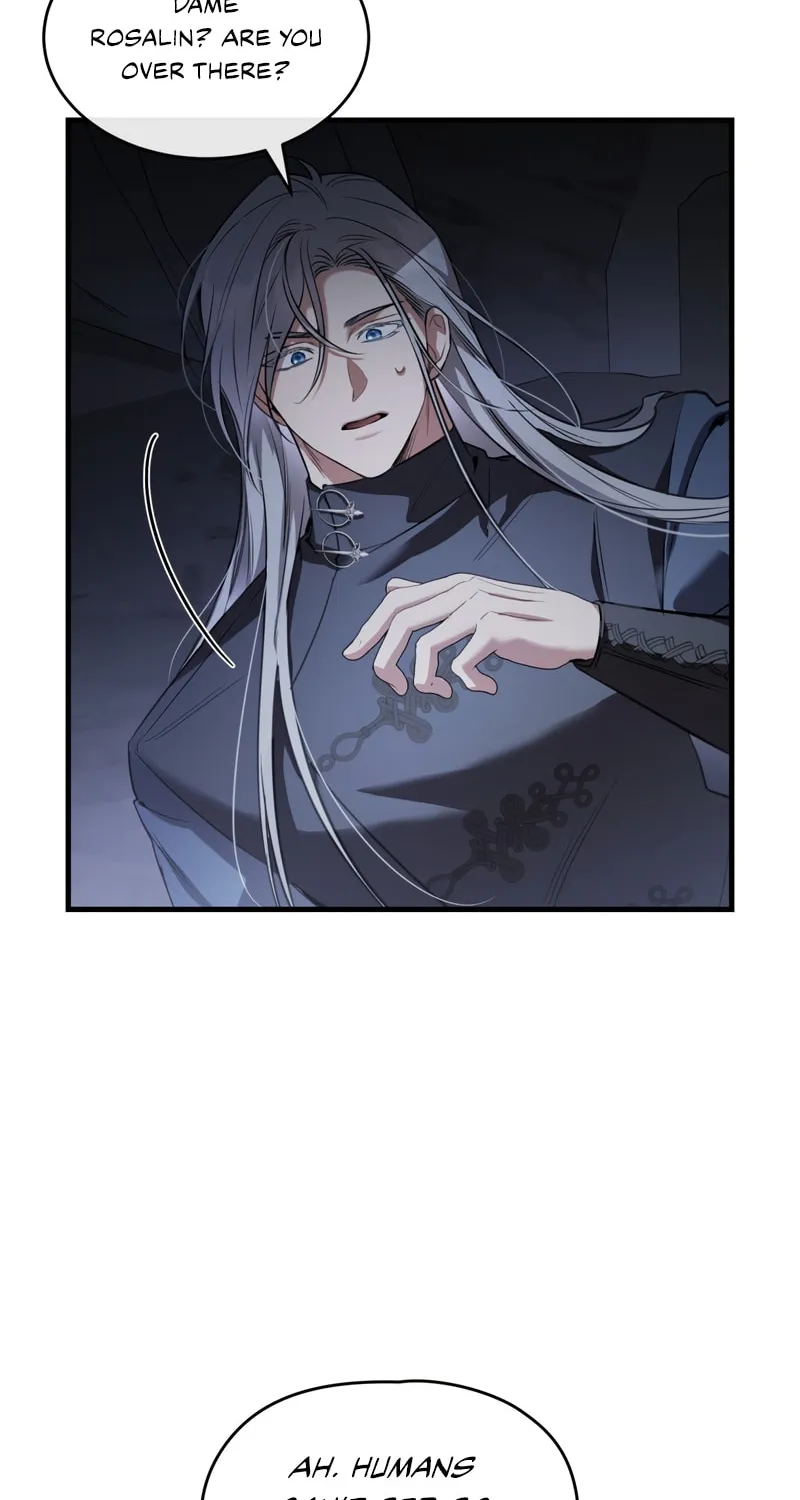 The Night Without Shadows Chapter 31 page 15 - 