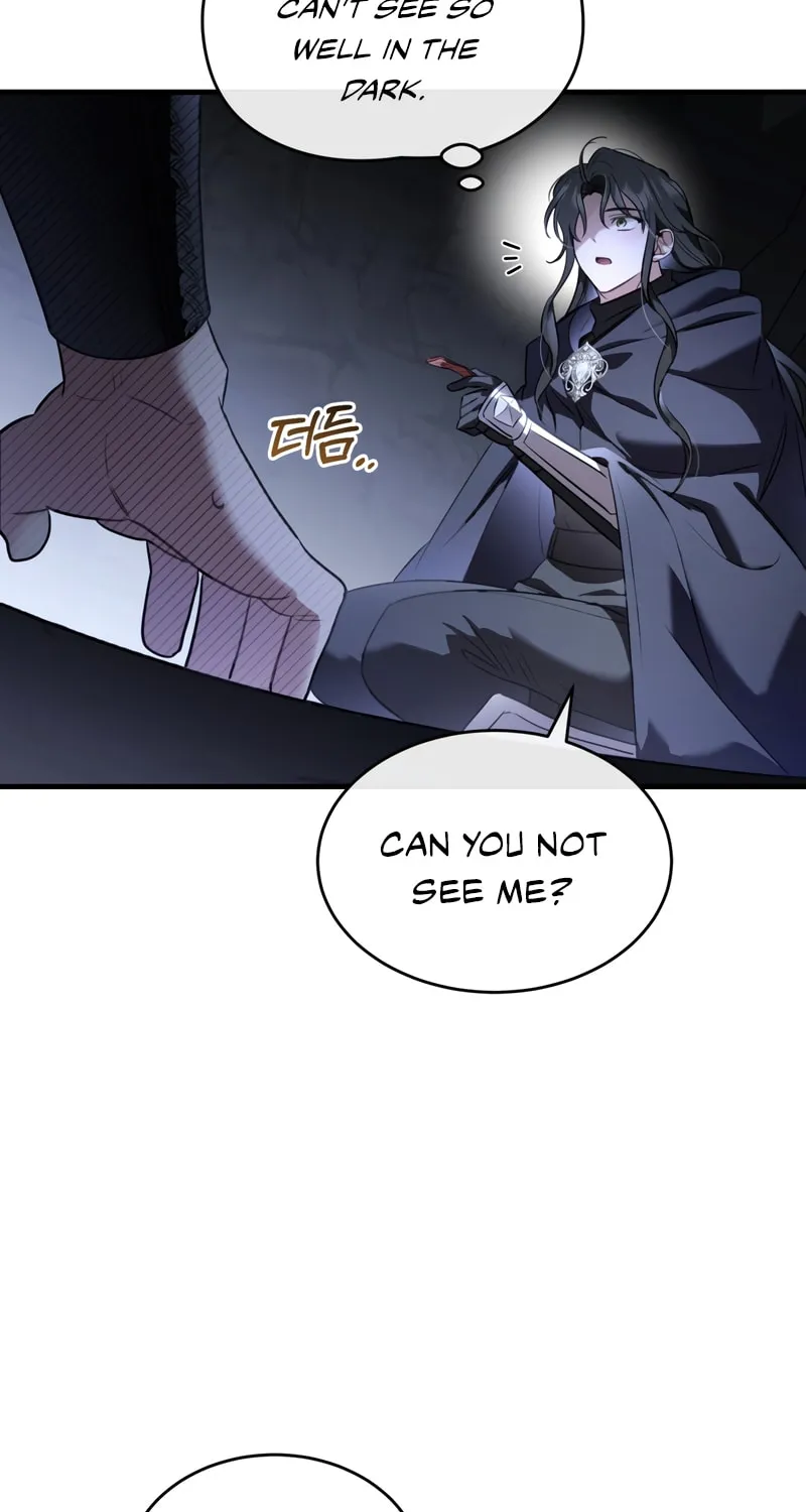 The Night Without Shadows Chapter 31 page 16 - 