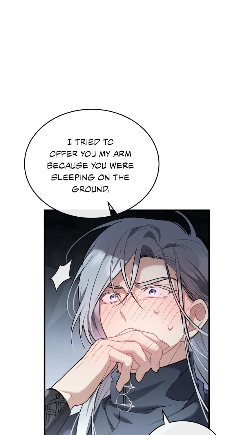 The Night Without Shadows Chapter 31 page 45 - 