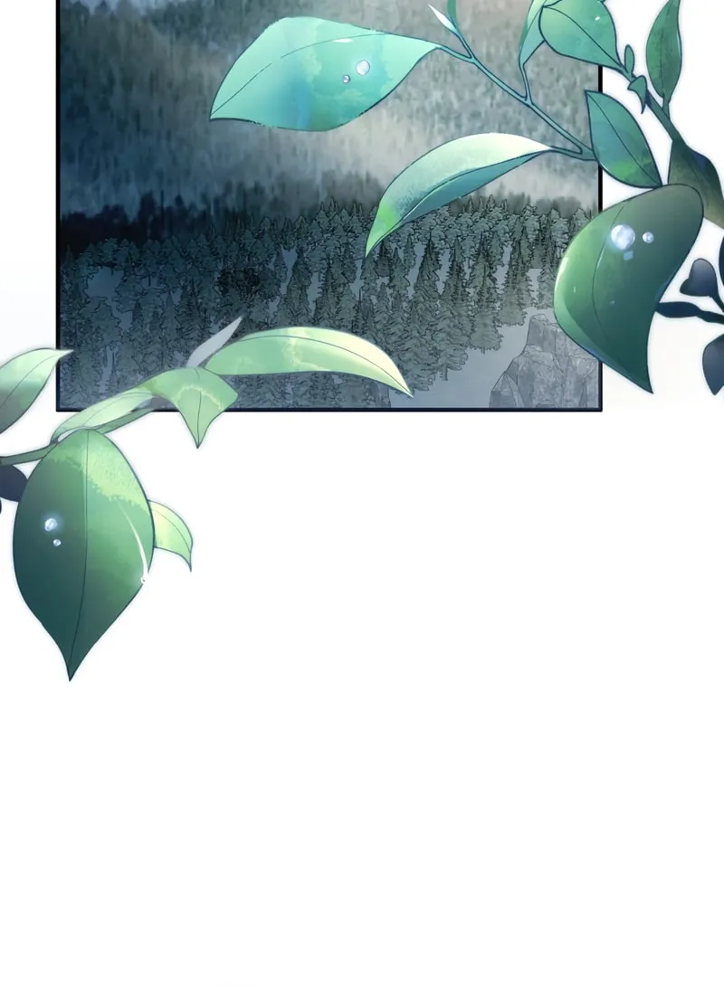 The Night Without Shadows Chapter 31 page 50 - 