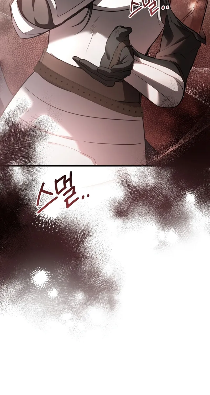 The Night Without Shadows Chapter 32 page 14 - 