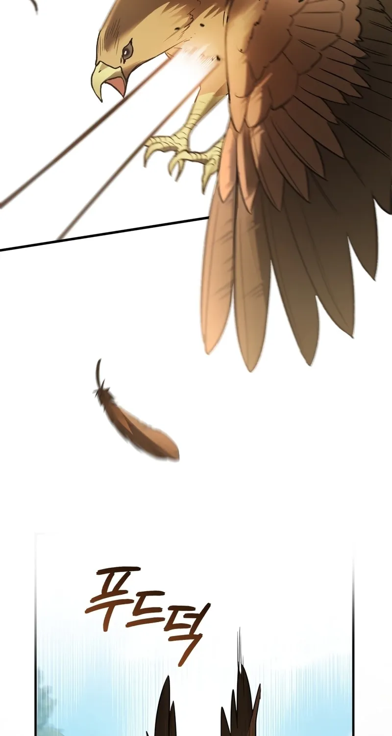 The Night Without Shadows Chapter 32 page 47 - 
