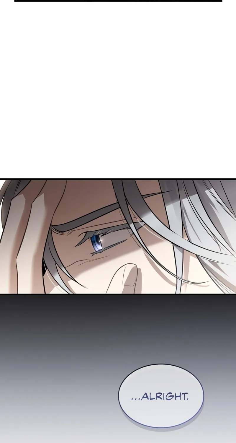 The Night Without Shadows Chapter 33 page 16 - 