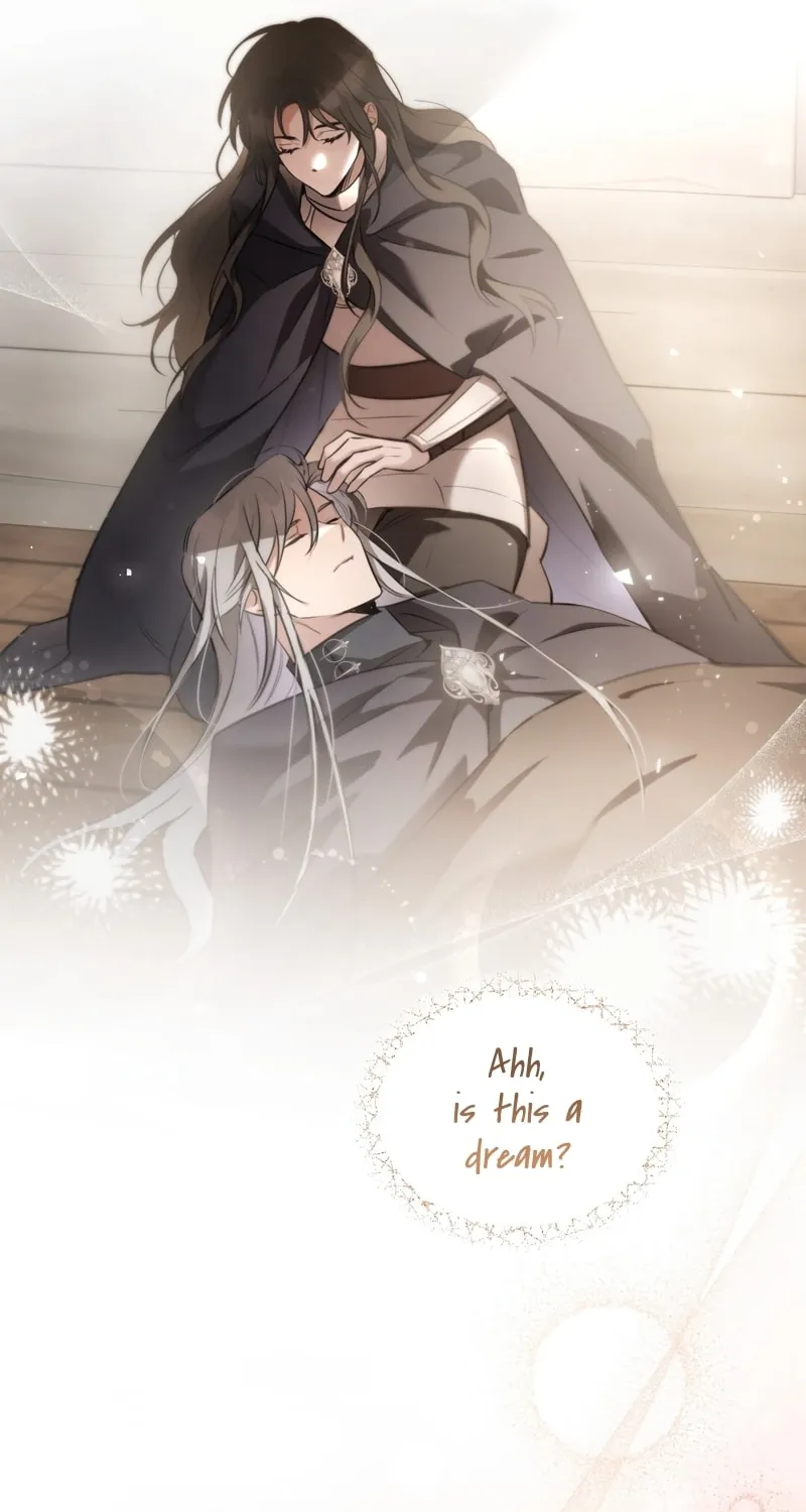 The Night Without Shadows Chapter 33 page 21 - 