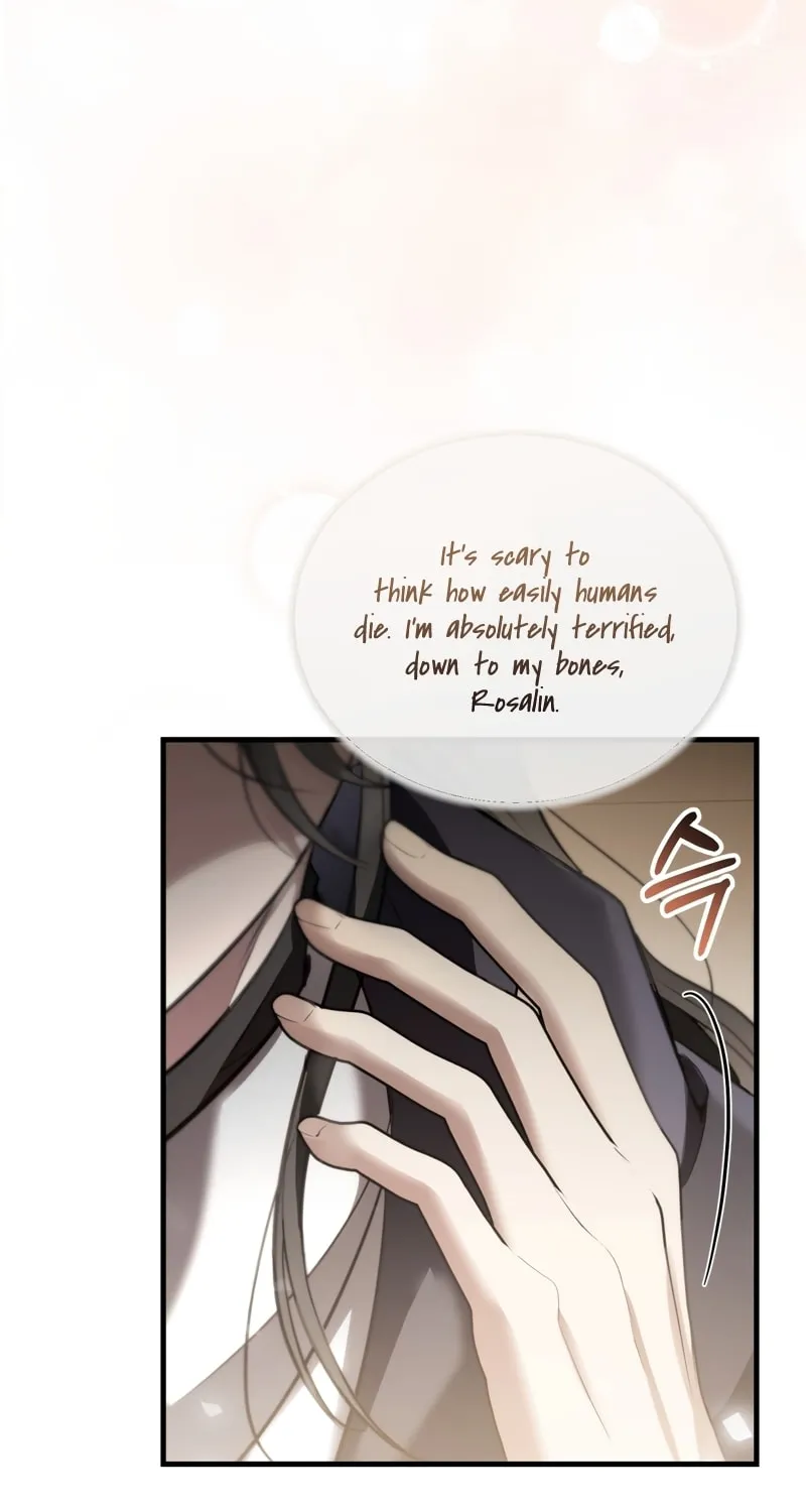 The Night Without Shadows Chapter 33 page 25 - 
