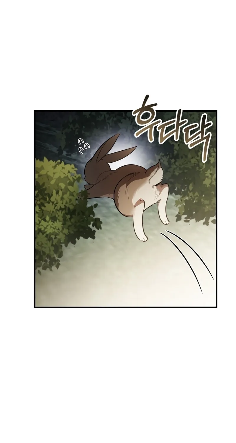 The Night Without Shadows Chapter 33 page 5 - 
