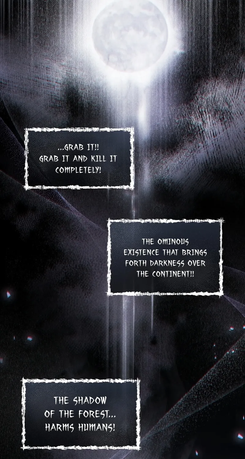 The Night Without Shadows Chapter 33 page 70 - 