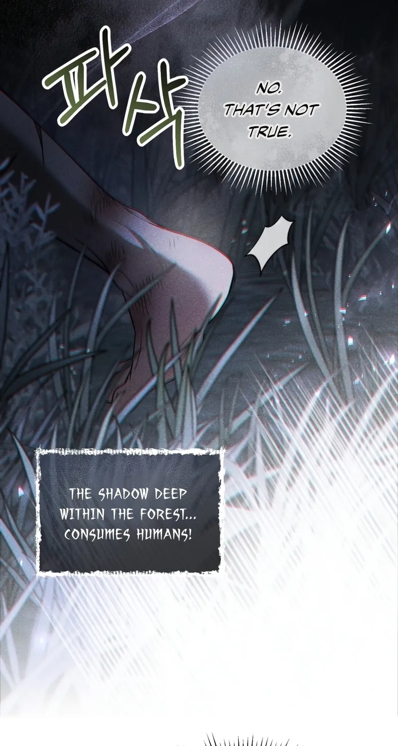 The Night Without Shadows Chapter 33 page 71 - 
