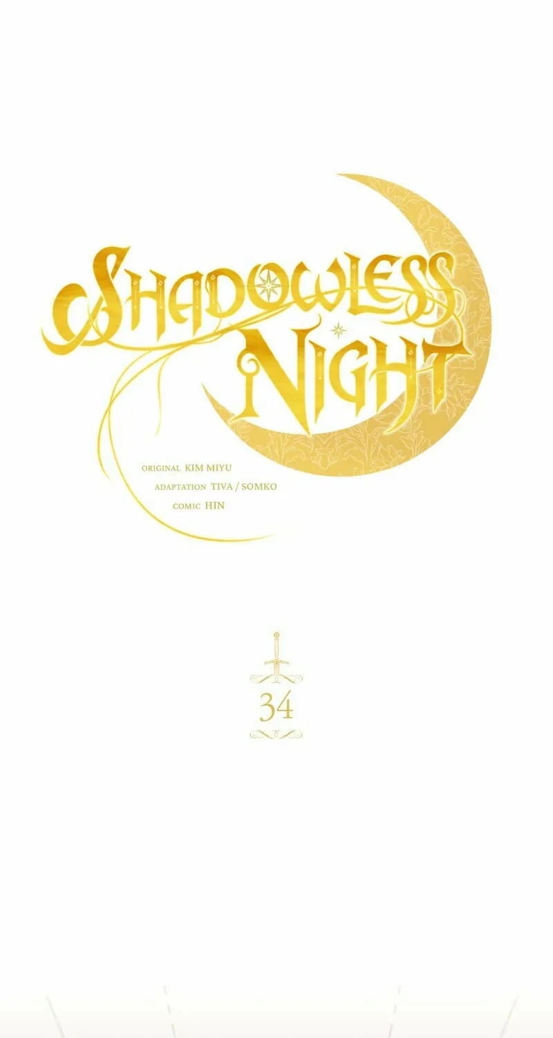The Night Without Shadows Chapter 34 page 15 - 