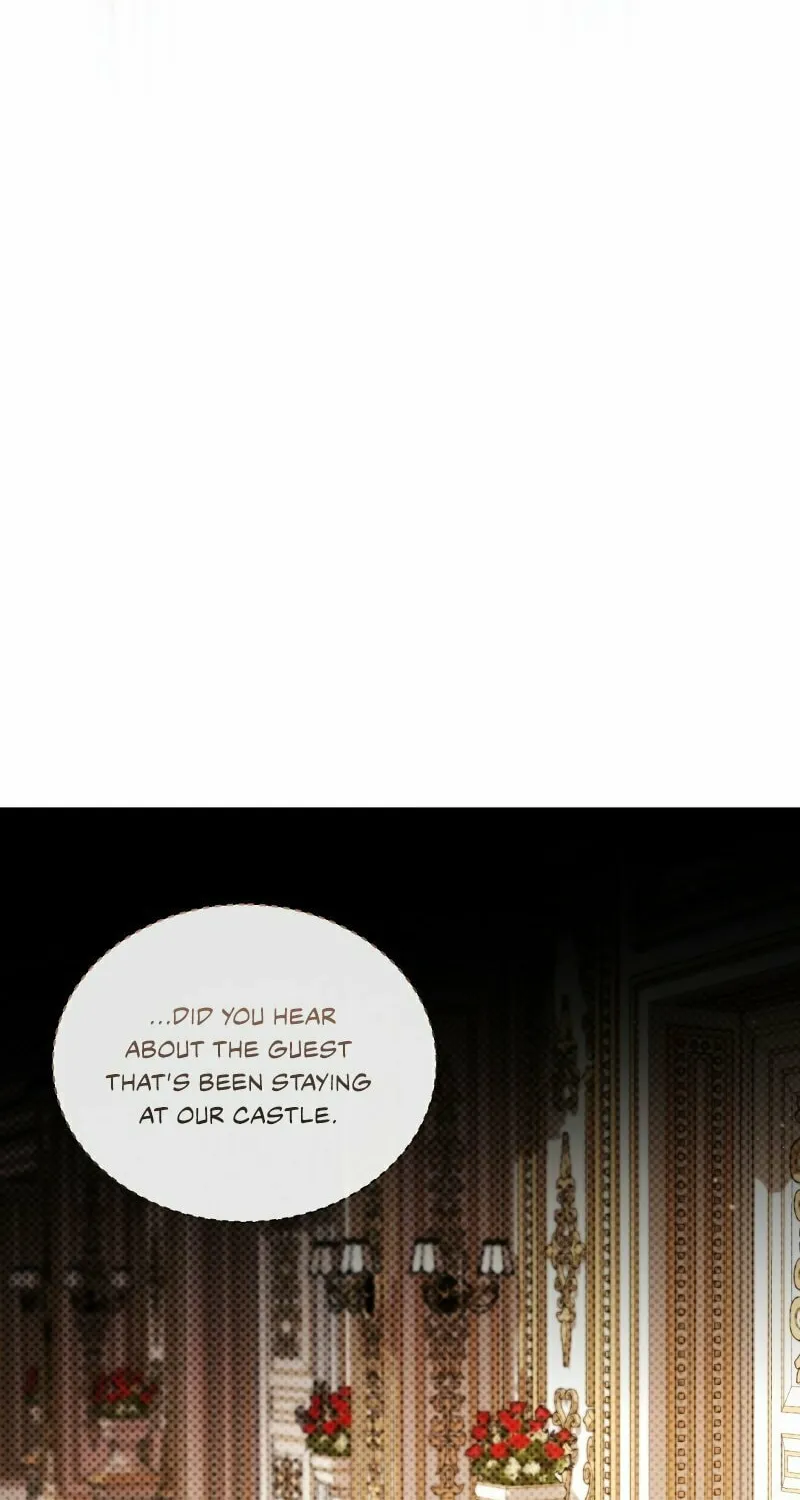 The Night Without Shadows Chapter 34 page 29 - 
