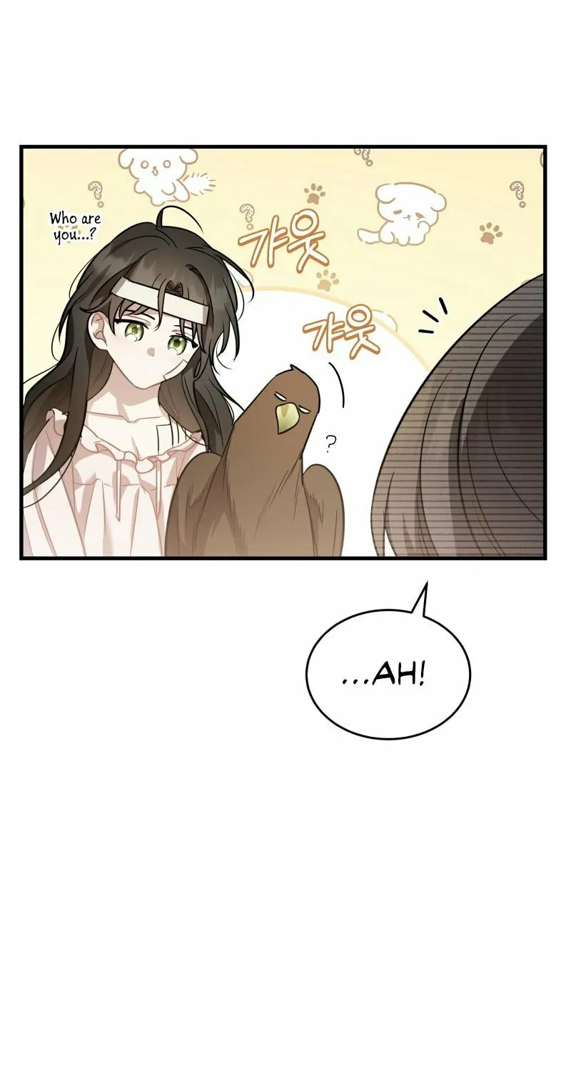 The Night Without Shadows Chapter 34 page 39 - 