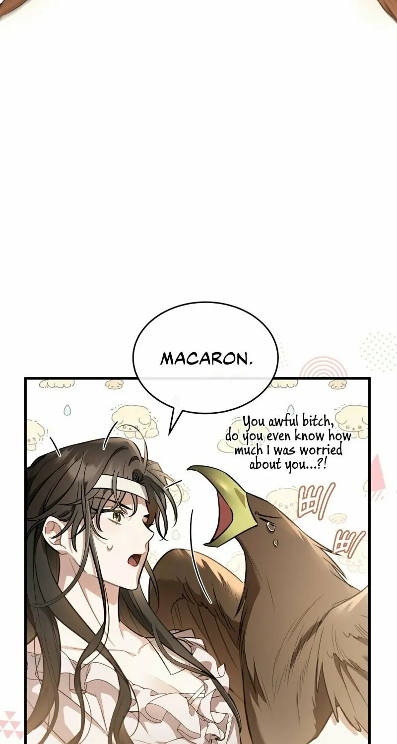 The Night Without Shadows Chapter 34 page 5 - 