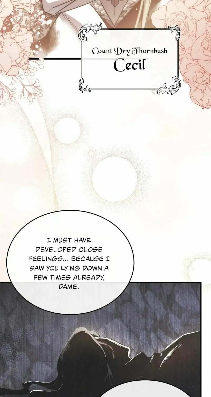 The Night Without Shadows Chapter 34 page 41 - 