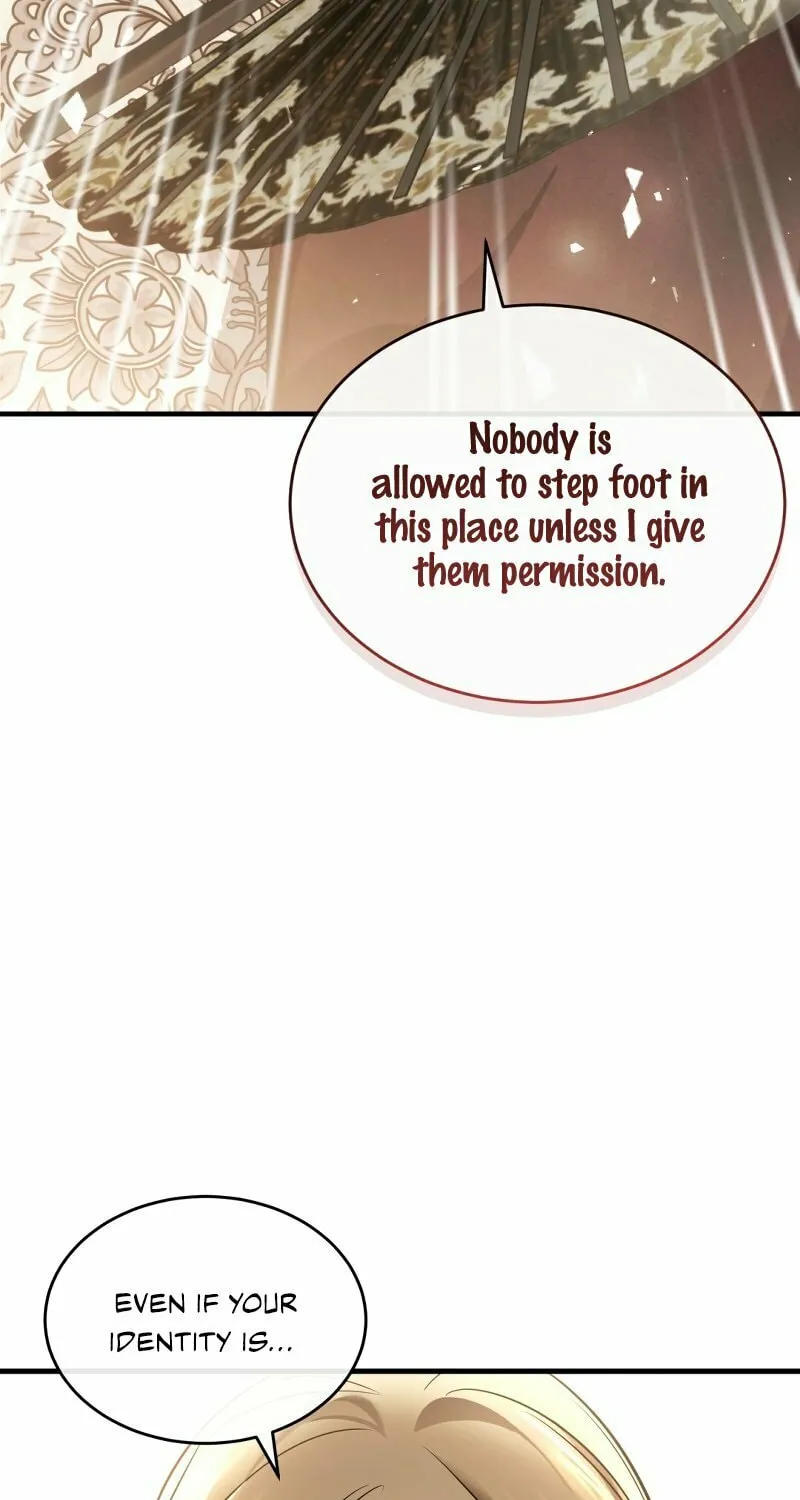 The Night Without Shadows Chapter 34 page 56 - 