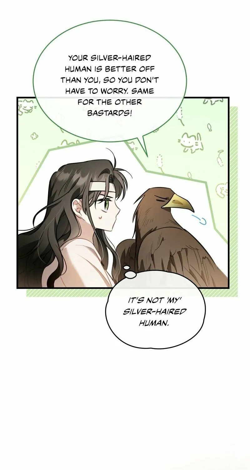 The Night Without Shadows Chapter 34 page 9 - 