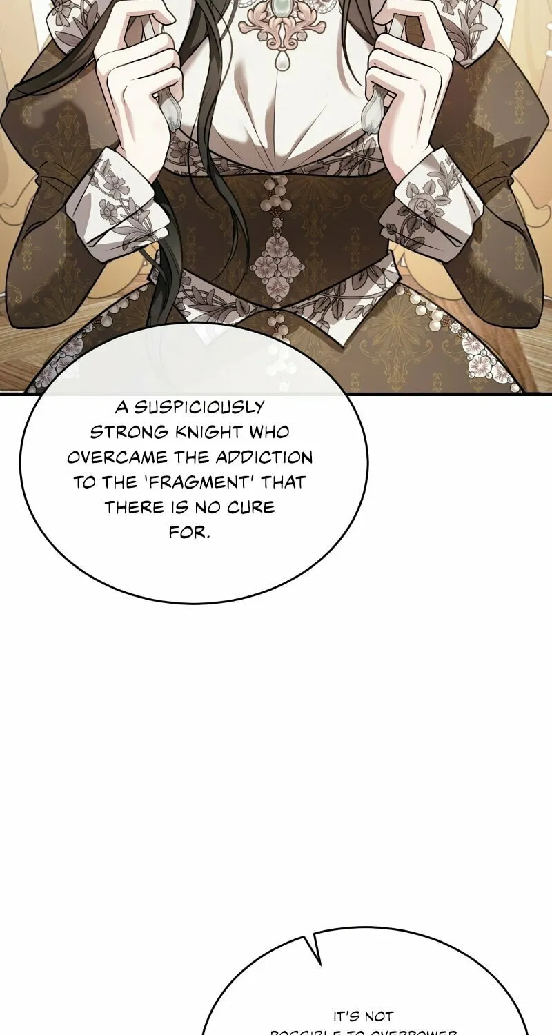 The Night Without Shadows Chapter 35 page 31 - 