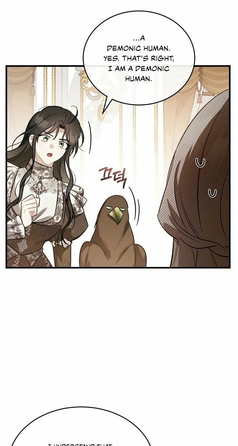 The Night Without Shadows Chapter 35 page 42 - 