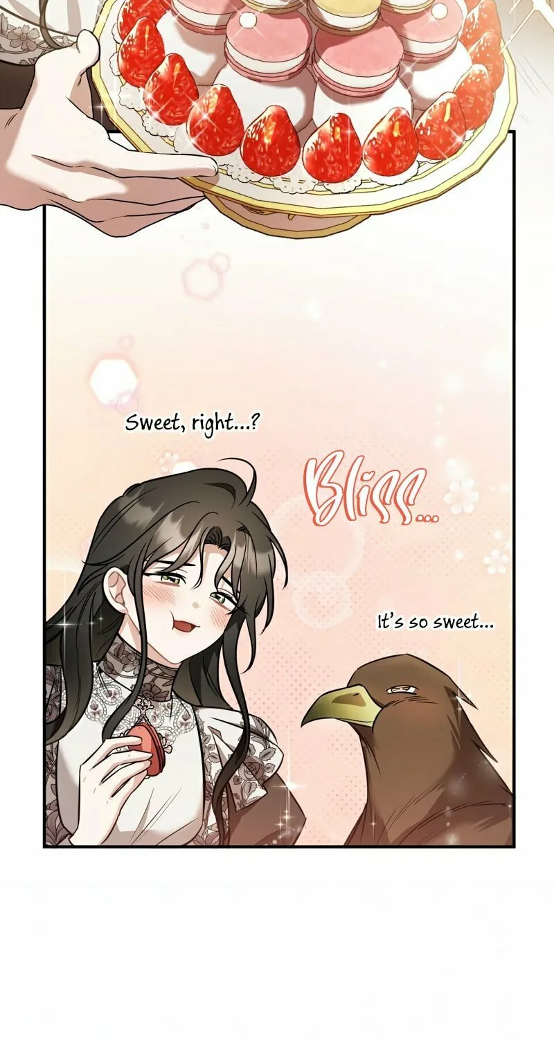 The Night Without Shadows Chapter 35 page 56 - 