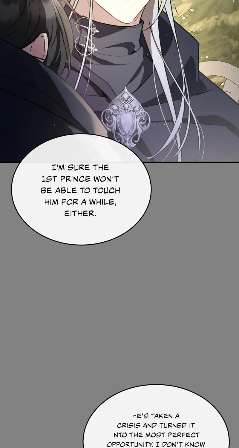 The Night Without Shadows Chapter 36 page 14 - 