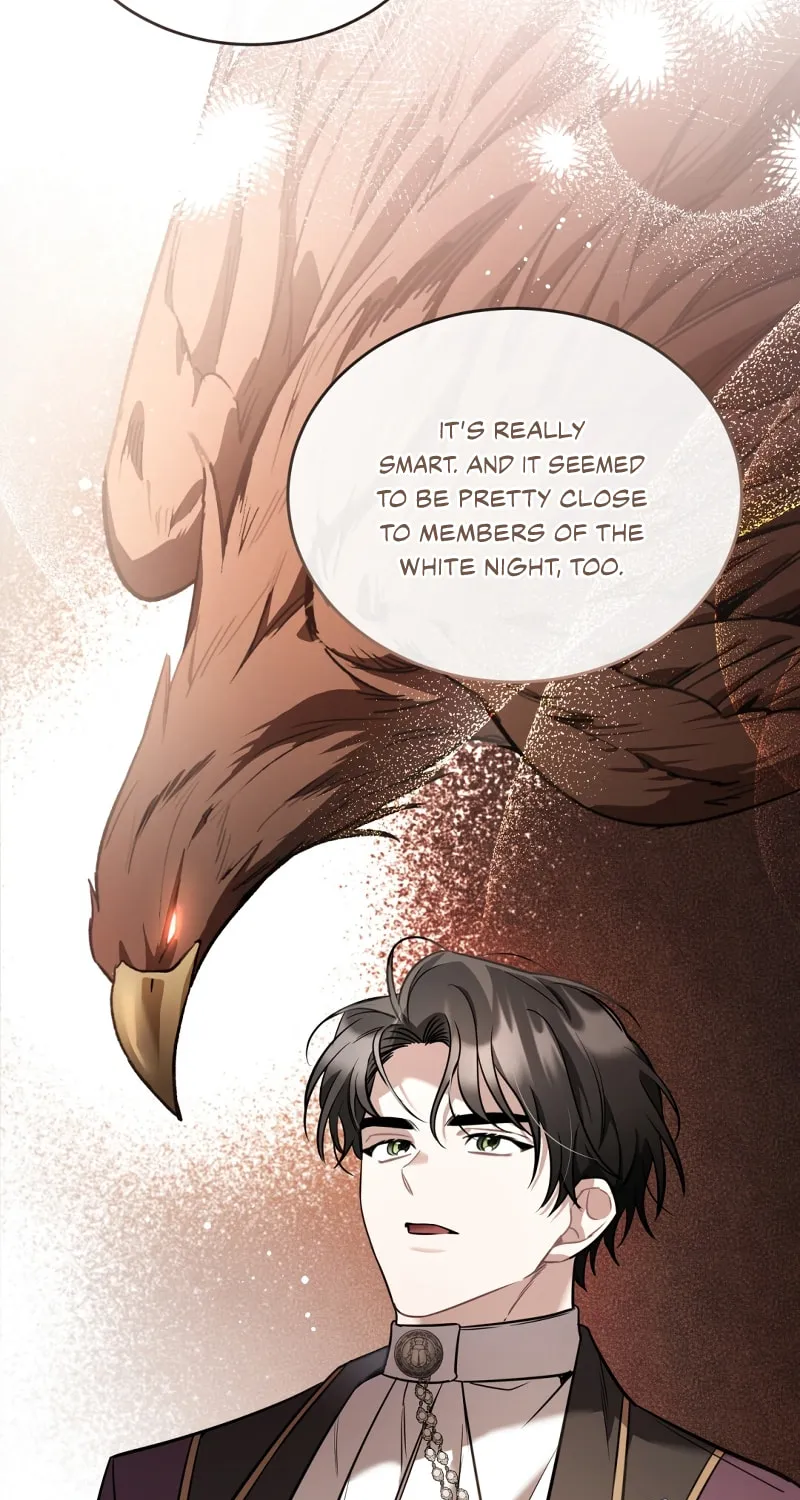 The Night Without Shadows Chapter 37 page 28 - 