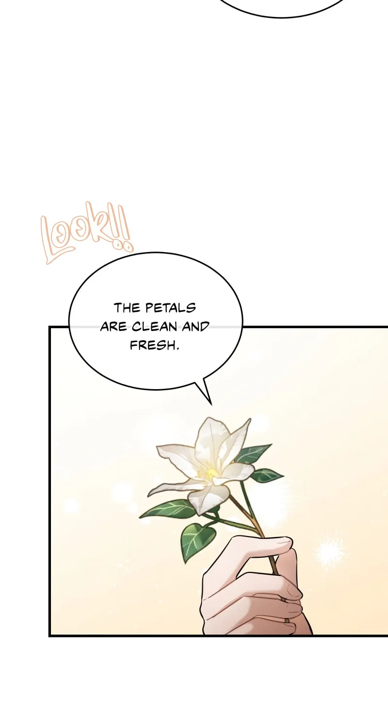 The Night Without Shadows Chapter 37 page 34 - 