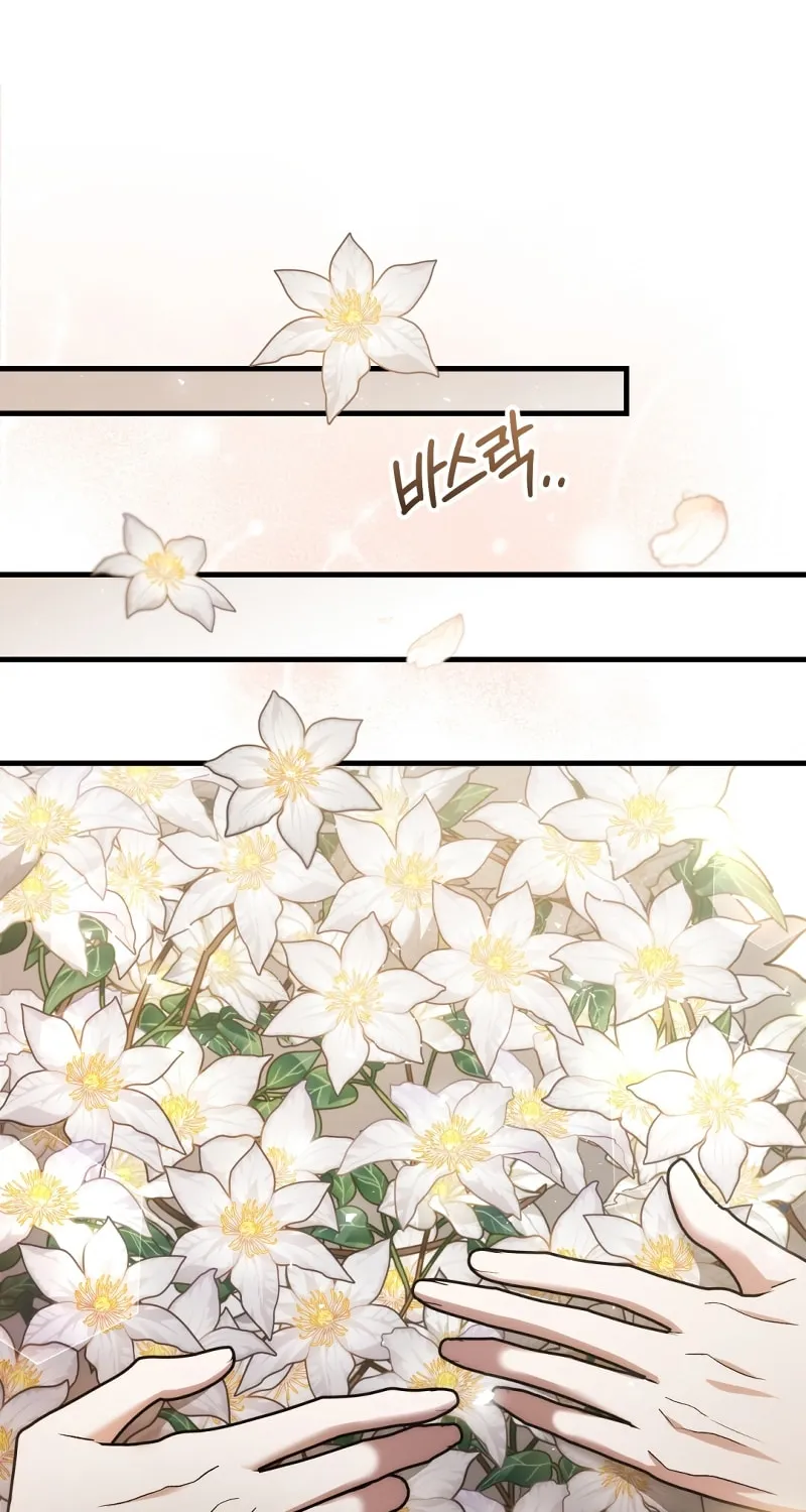 The Night Without Shadows Chapter 37 page 38 - 