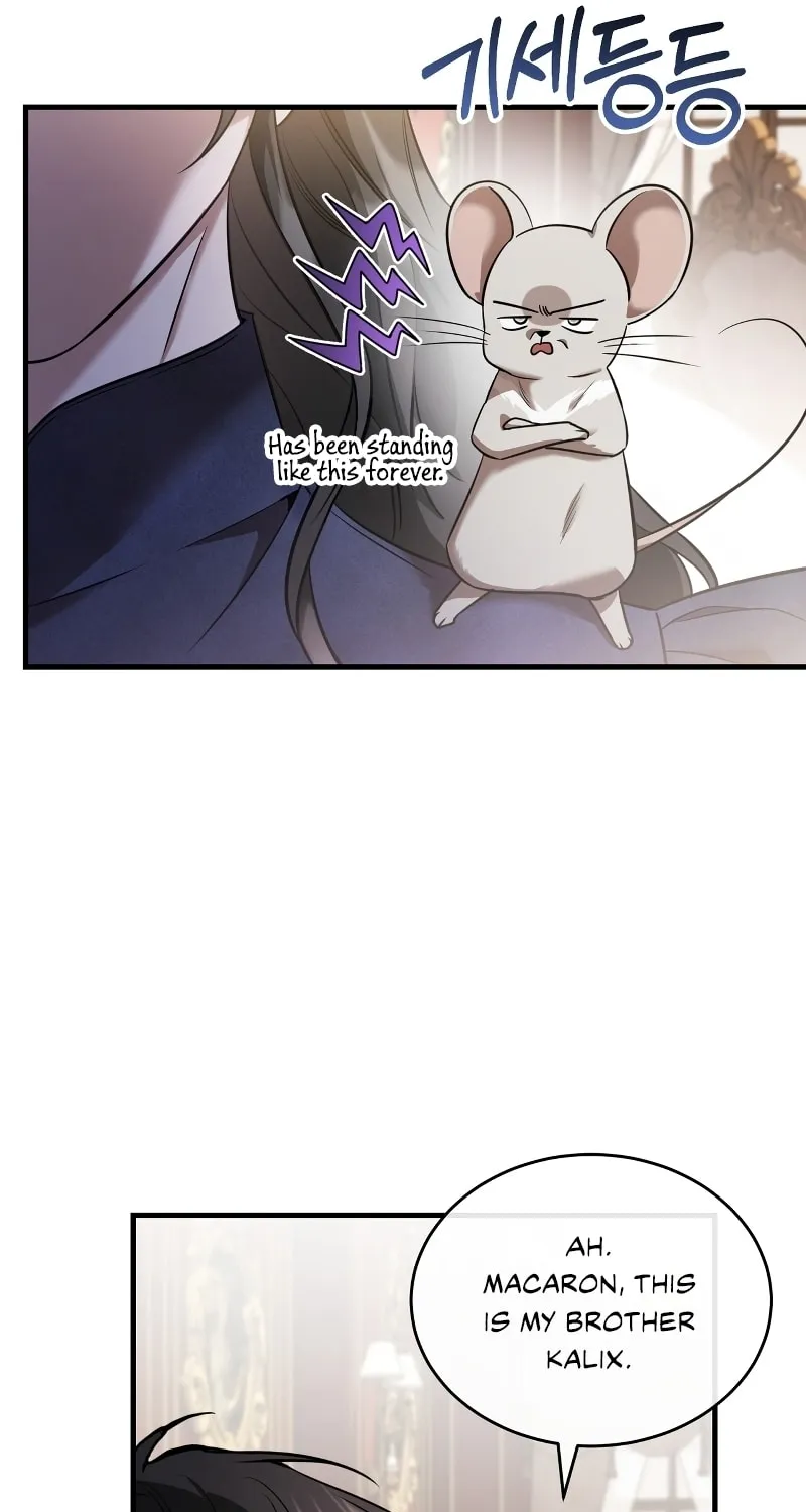 The Night Without Shadows Chapter 38 page 31 - 
