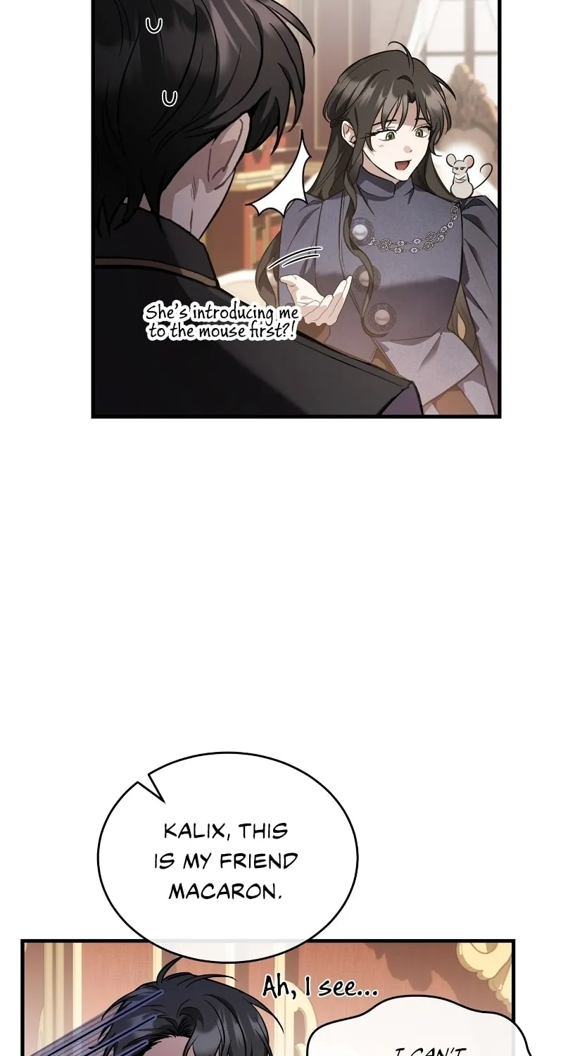 The Night Without Shadows Chapter 38 page 32 - 
