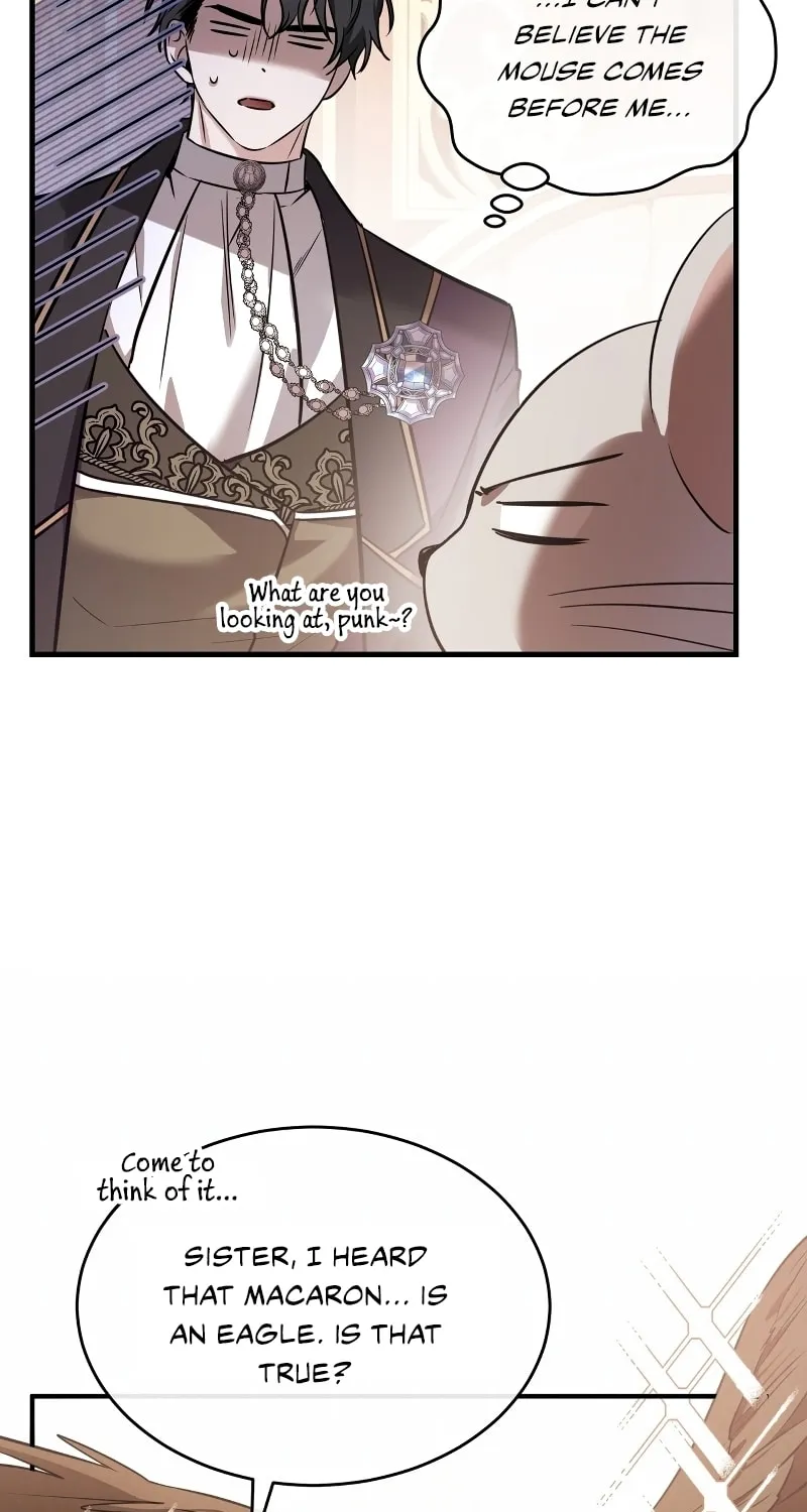 The Night Without Shadows Chapter 38 page 33 - 