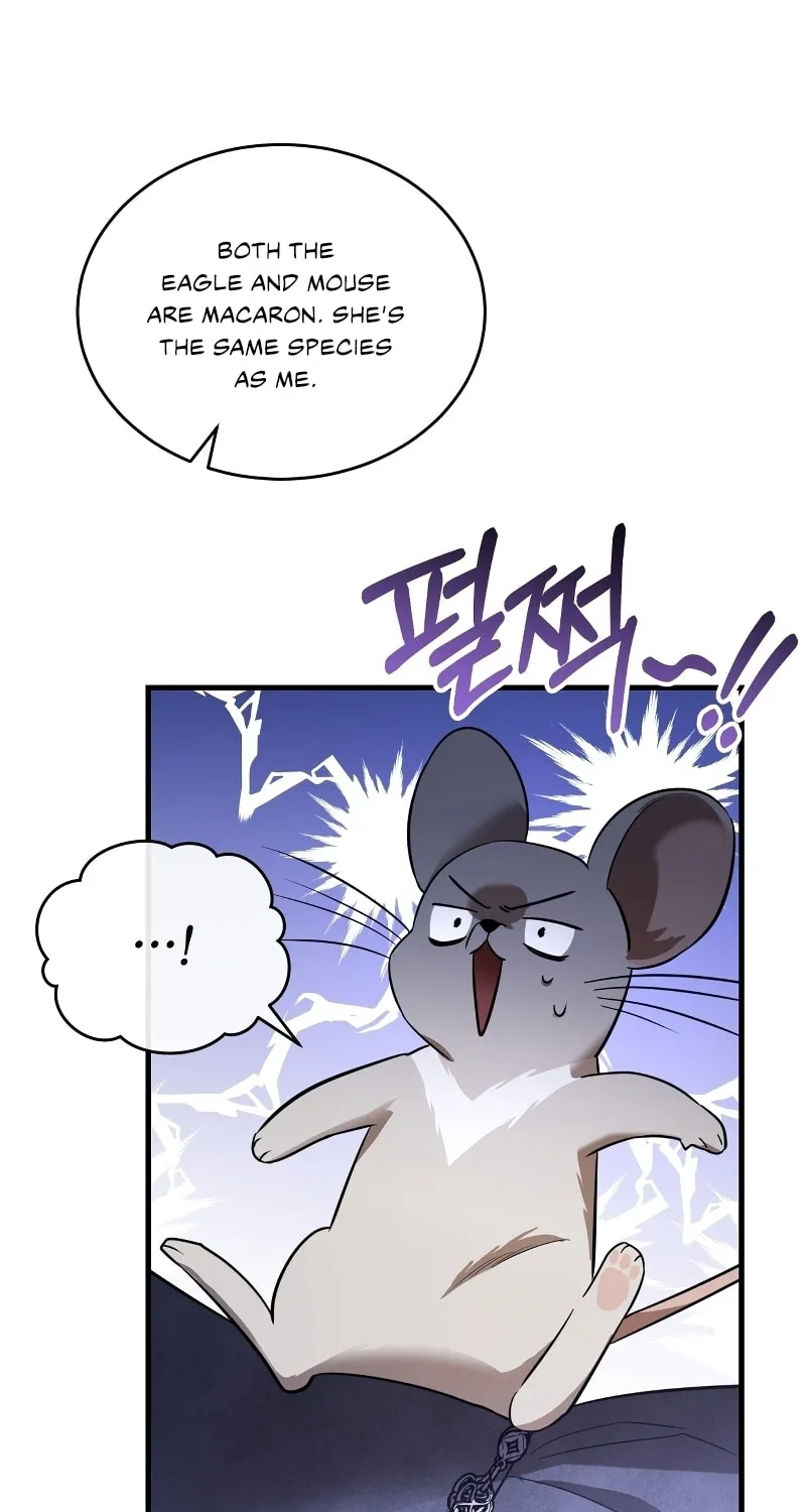 The Night Without Shadows Chapter 38 page 35 - 