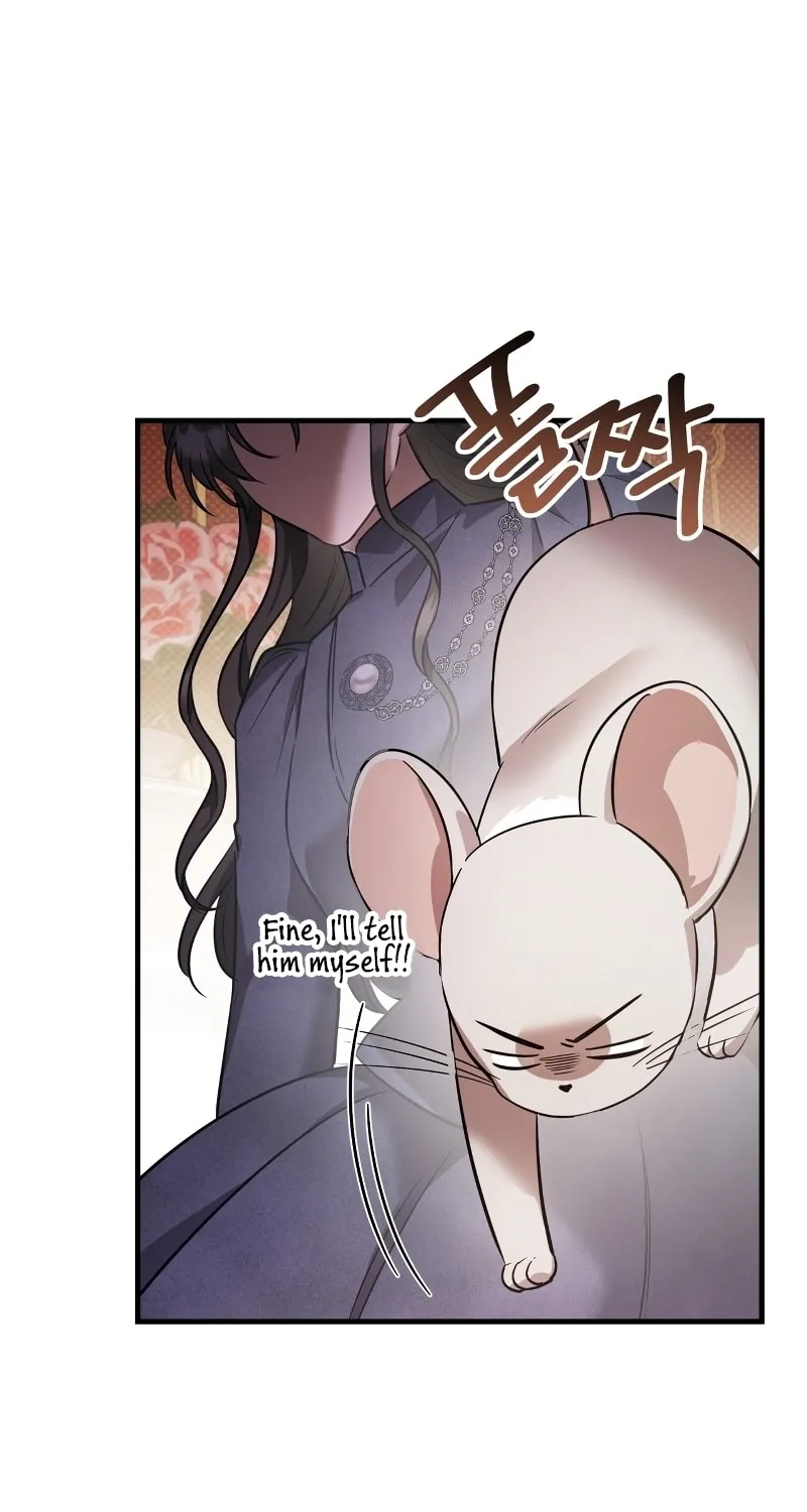 The Night Without Shadows Chapter 38 page 39 - 