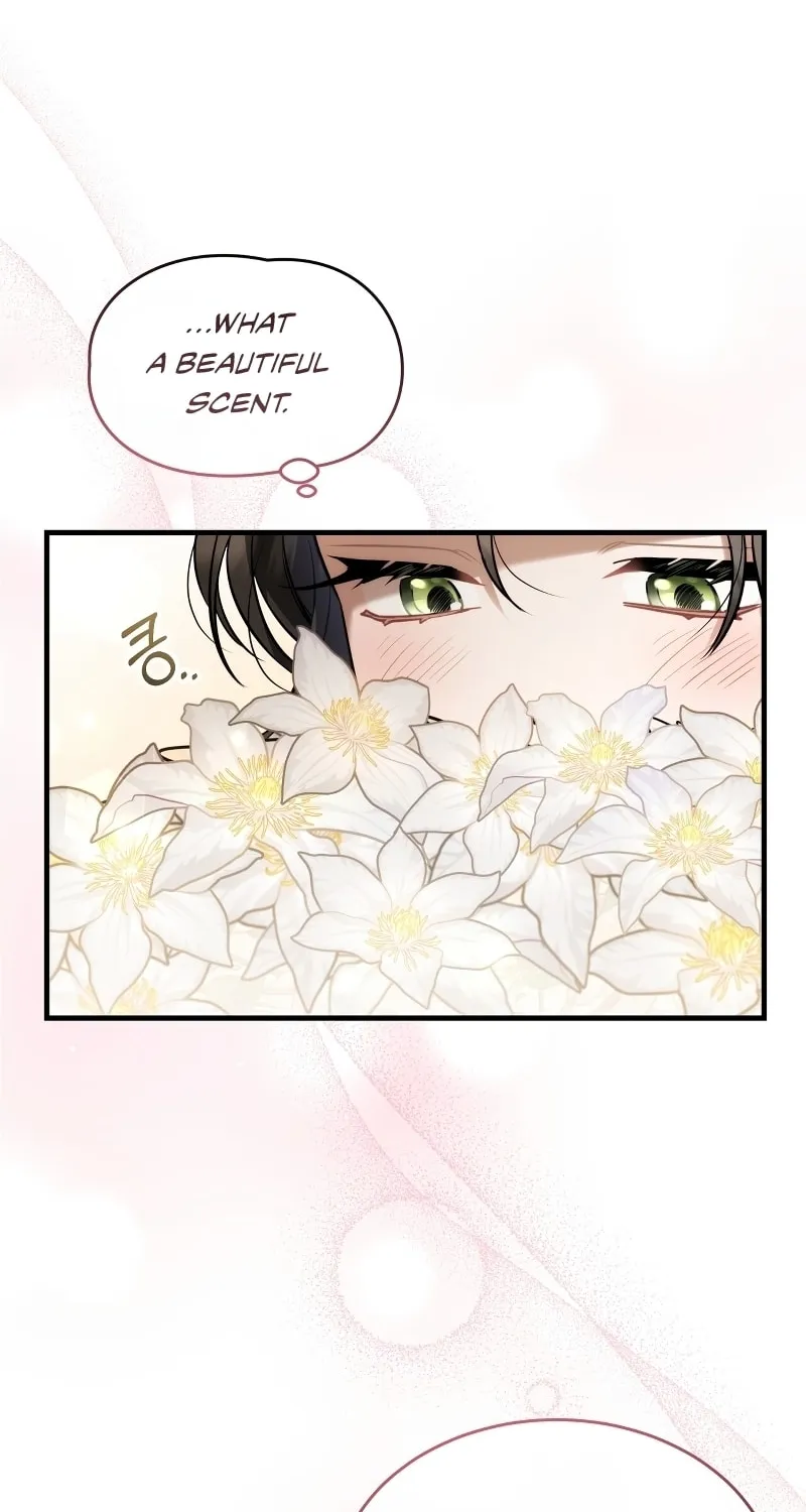 The Night Without Shadows Chapter 38 page 7 - 