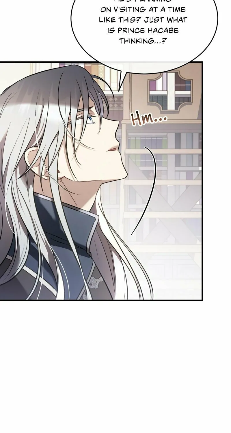The Night Without Shadows Chapter 39 page 19 - 