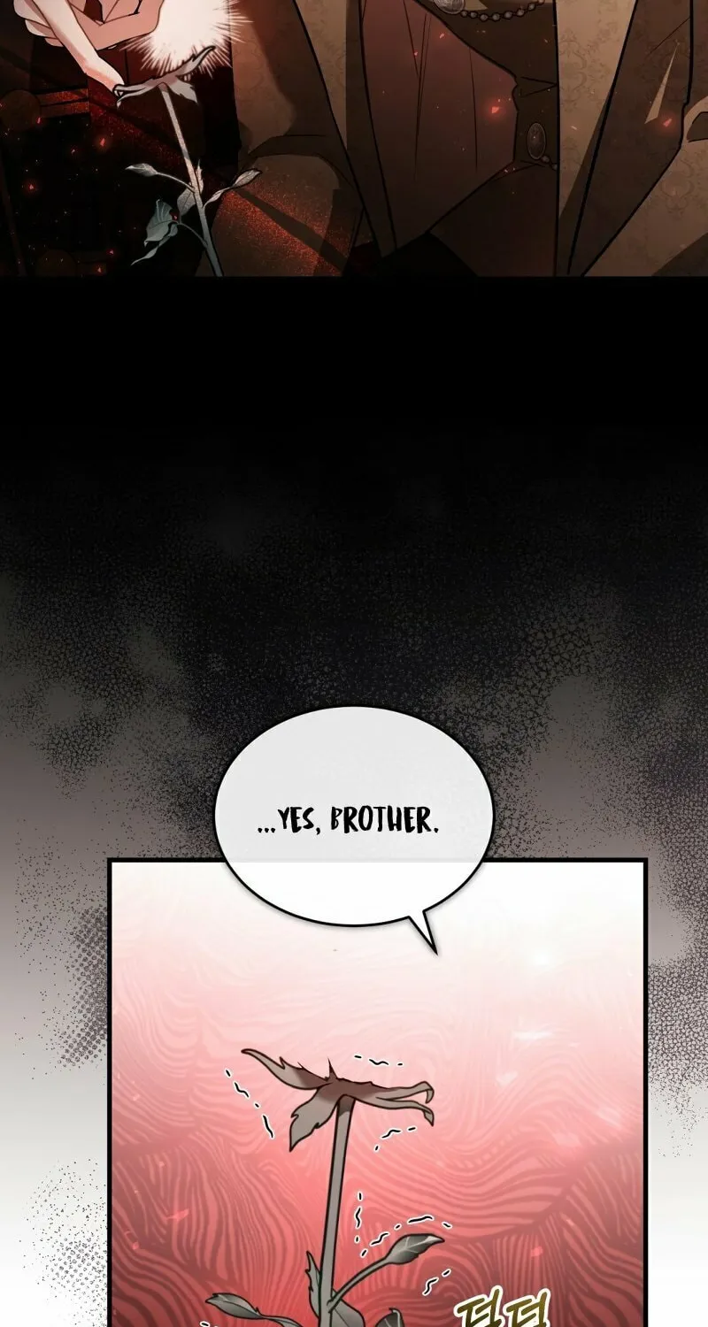 The Night Without Shadows Chapter 39 page 65 - 