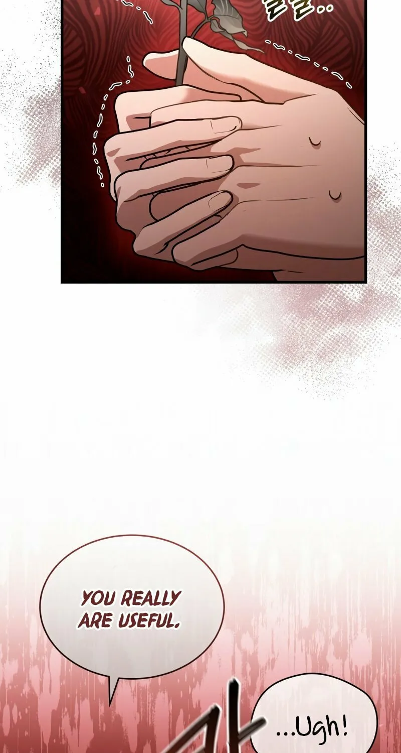 The Night Without Shadows Chapter 39 page 66 - 